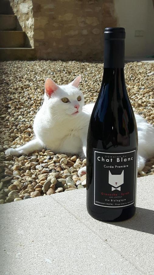 Le Cottage Du Chat Blanc Saint Didier  외부 사진